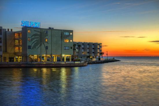 410-Gorgeous Views, Waterfront, Wifi, Pool And Close To Bucs Stadium Tampa Exterior photo